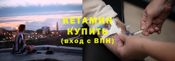 сатива Сосновка
