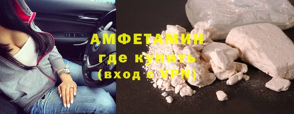 гашик Сосновый Бор