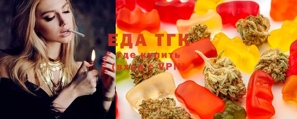 гашик Сосновый Бор