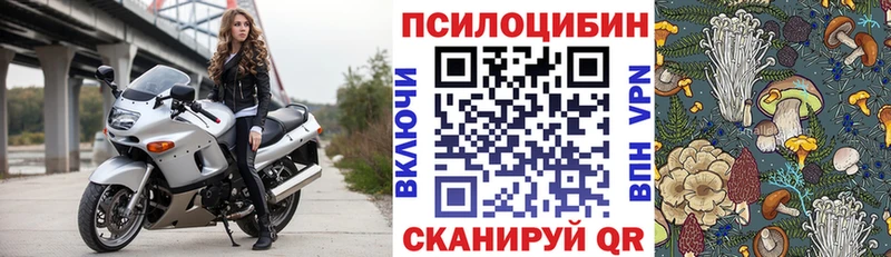 Галлюциногенные грибы Cubensis Купить Рузаевка